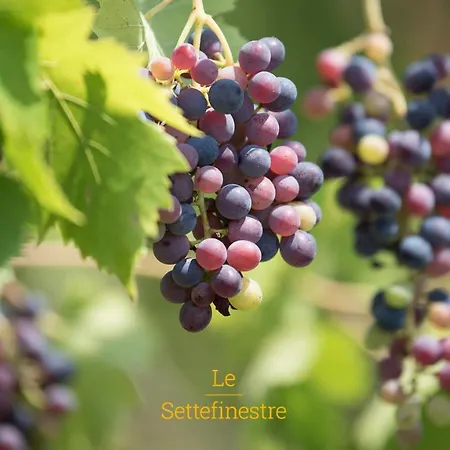 Lesettefinestre Feliciani Appartement *