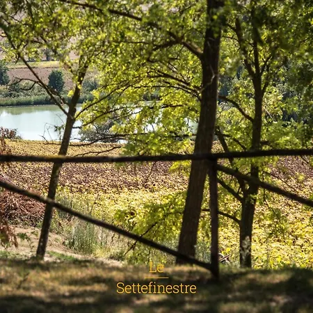 Lesettefinestre Feliciani *