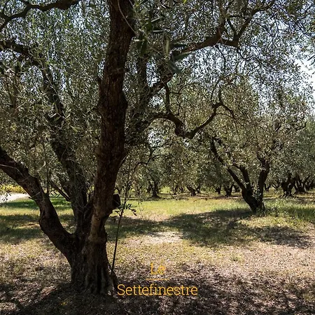Lesettefinestre Feliciani Appartement *